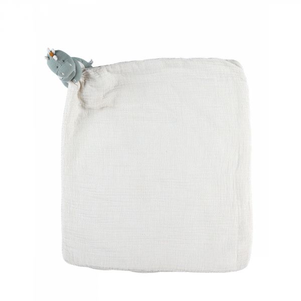 Ma première couverture dinosaure Stegi