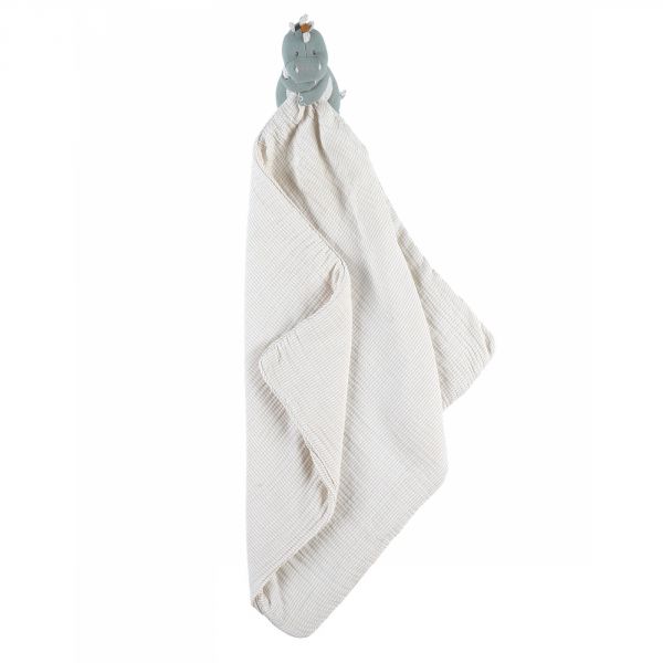 Ma première couverture dinosaure Stegi