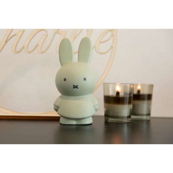 Tirelire enfant Miffy taille S Eucalyptus