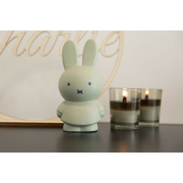 Tirelire enfant Miffy taille M eucalyptus