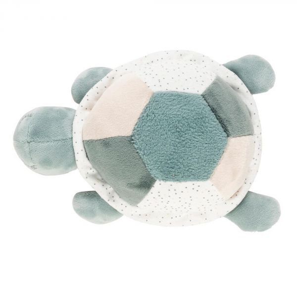 Tortue d'éveil verte