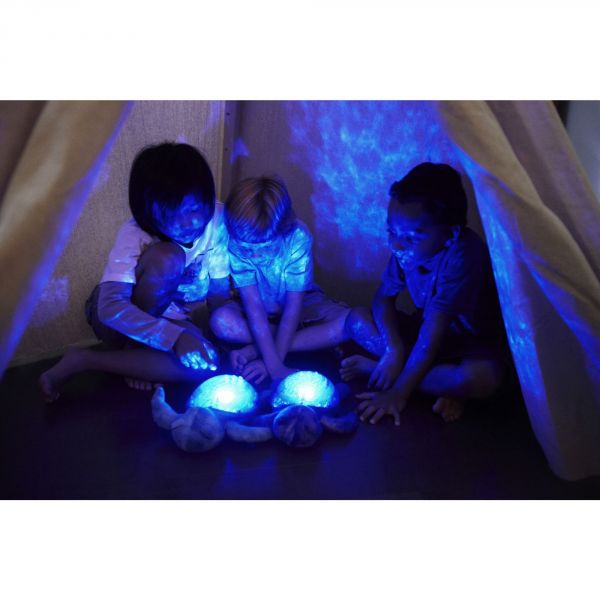 Veilleuse bébé projection plafond musicale Tortue tranquille Aqua - Rechargeable