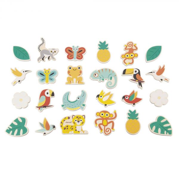 Lot de 24 magnets Tropicaux