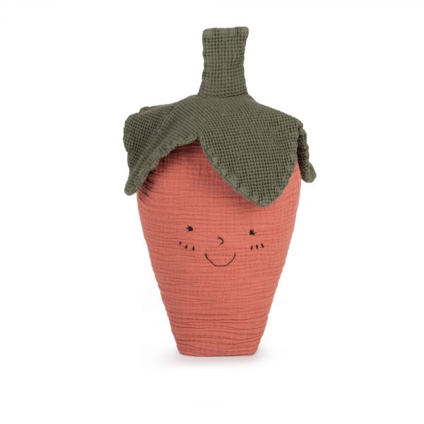 Coussin fraise Wabi Sabi