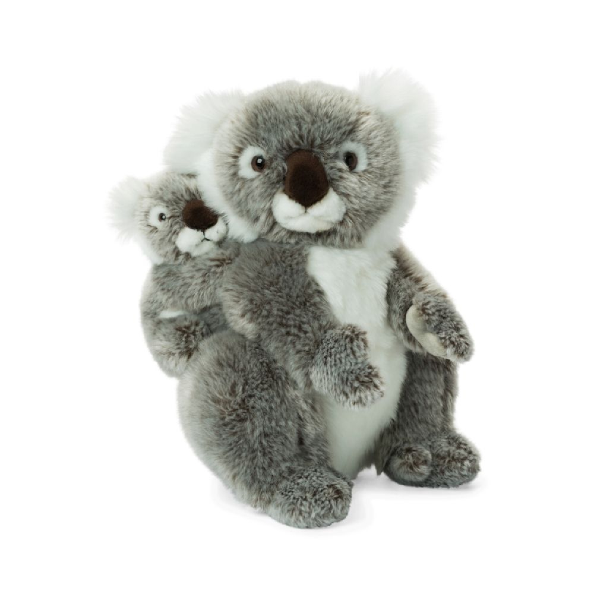 Koala Bruit Blanc Bébé, Meilleur Prix