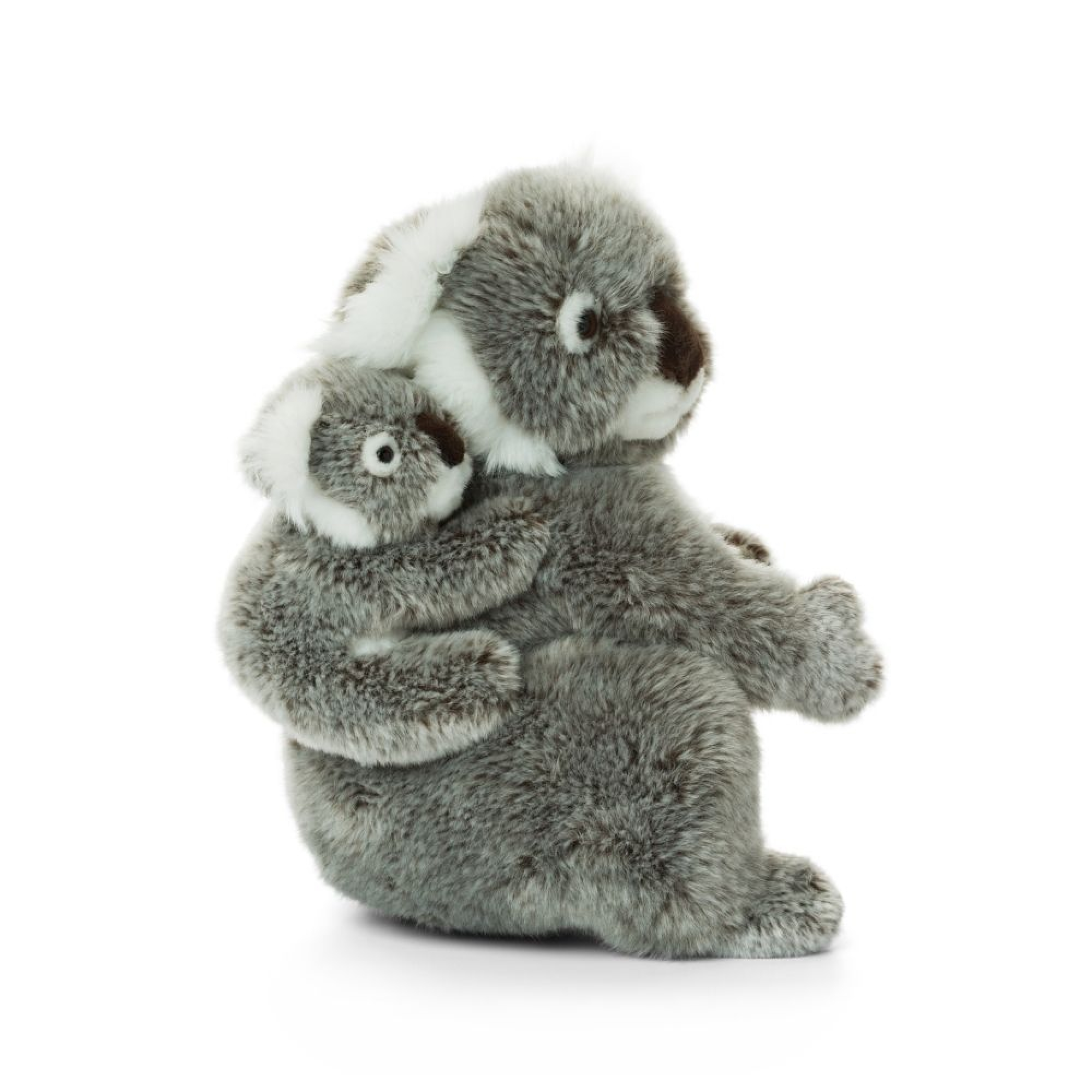 WWF - Peluche Koala - Peluche Réaliste avec de Nombreux Détails  Ressemblants - Douce et Souple - Normes CE - Hauteur 15 cm : :  Jeux et Jouets