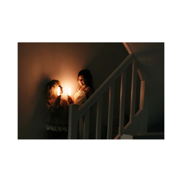 Lampe Zoo light Cerf